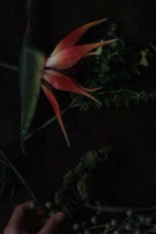 still life composition 'an accompaniment for life' (2015) poster