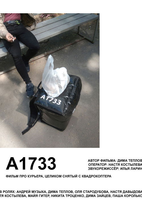 А1733 (2023) poster
