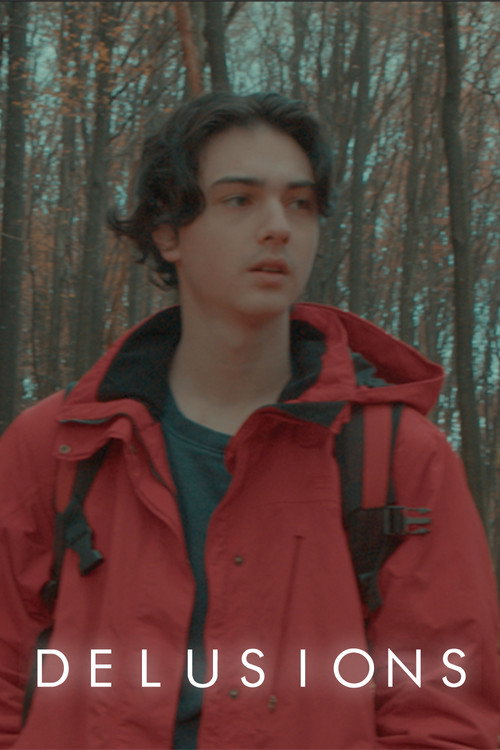 Delusions (2022) poster