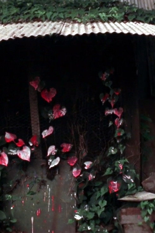 Shelter (1980) poster