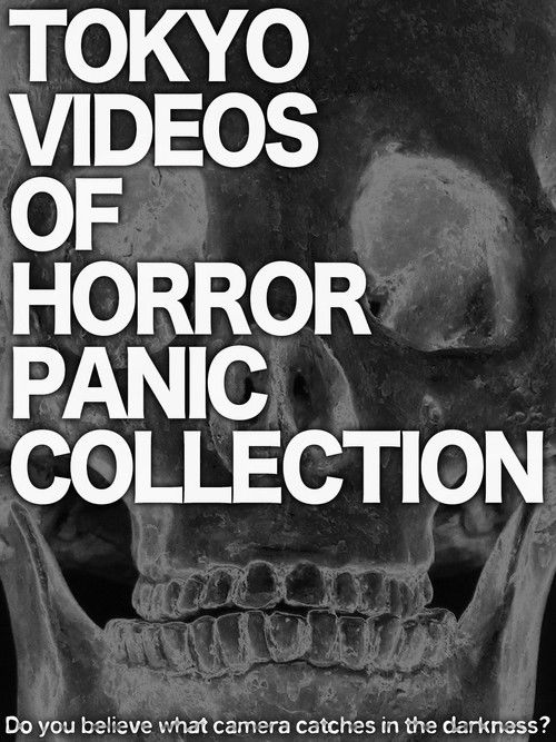 Tokyo Videos of Horror Panic Collection (2014) poster