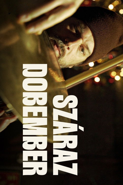 Száraz dobember (2024) poster