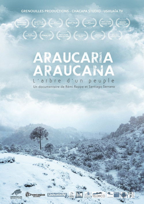 Araucaria Araucana (2018) poster