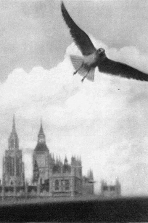 London Visitors (1936) poster