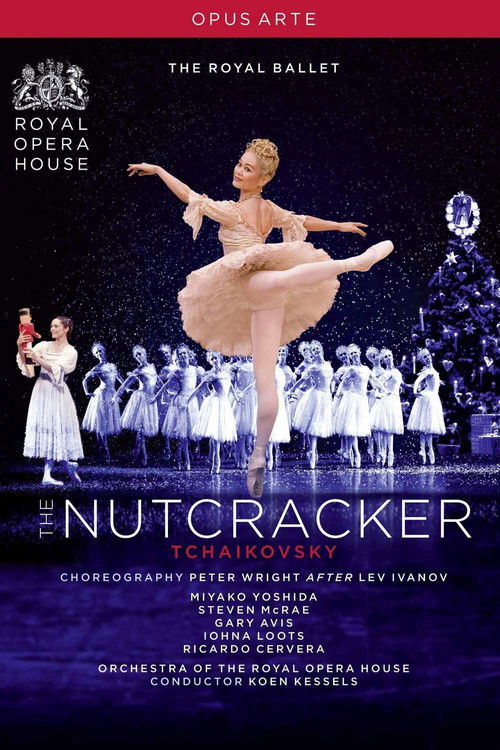 The Nutcracker (2009) poster