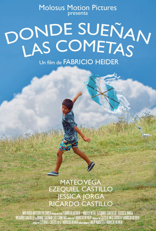 Donde Sueñan Las Cometas (2019) poster
