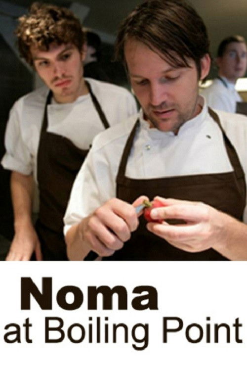 Noma på kogepunktet (2008) poster