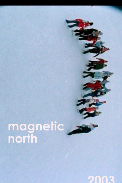 Magnetic North (2003) poster