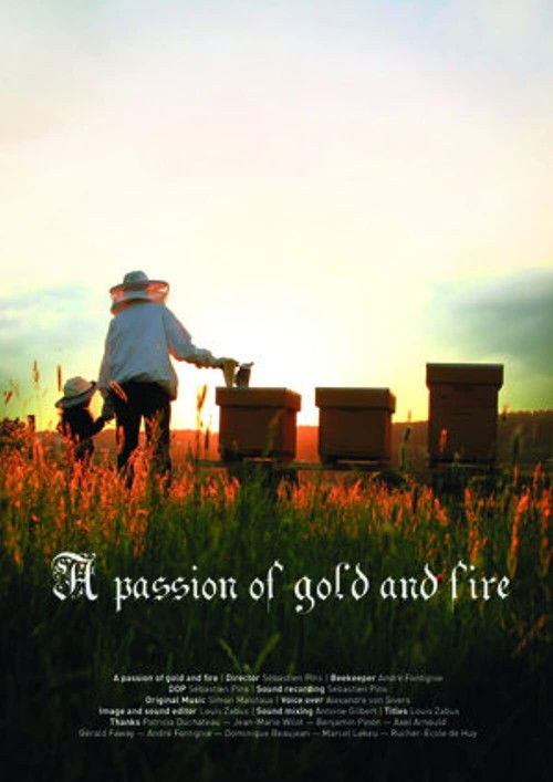 A Passion of Gold and Fire (2015) poster