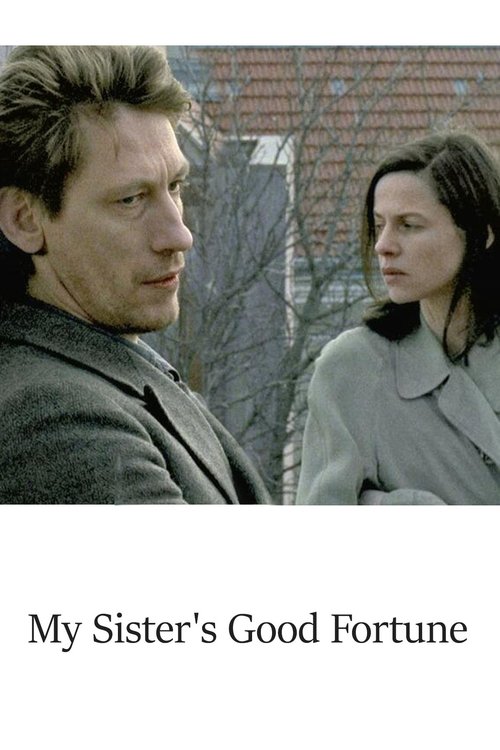 Kız Kardeşimin Şansı (1995) poster