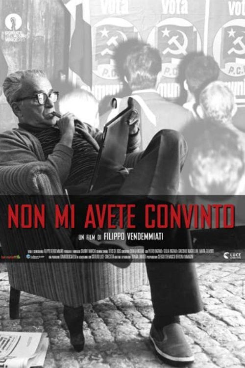 Non mi avete convinto (2012) poster