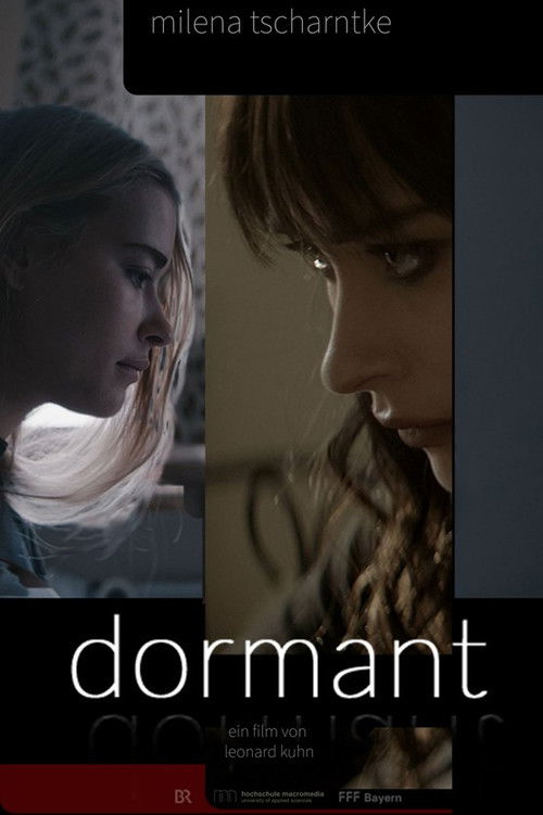 Dormant (2023) poster
