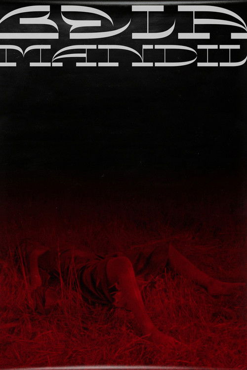 Bela Mandil (2019) poster