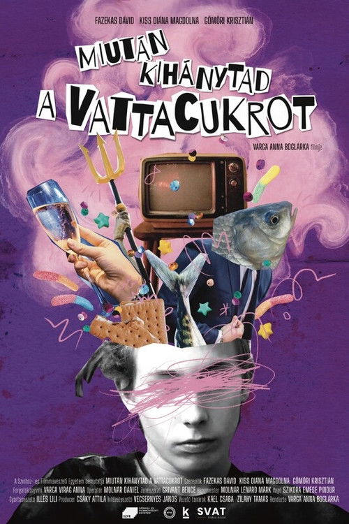 Miután kihánytad a vattacukrot (2023) poster