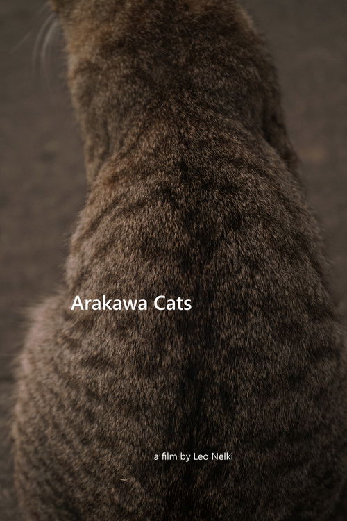 Arakawa Cats poster