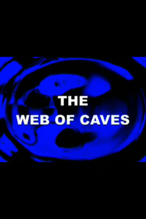 The Web of Caves (1999) poster