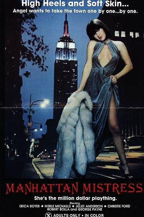 Manhattan Mistress (1981) poster