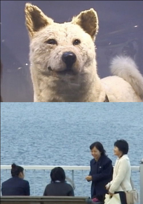 I Have No Memory of My Direction (2005) poster