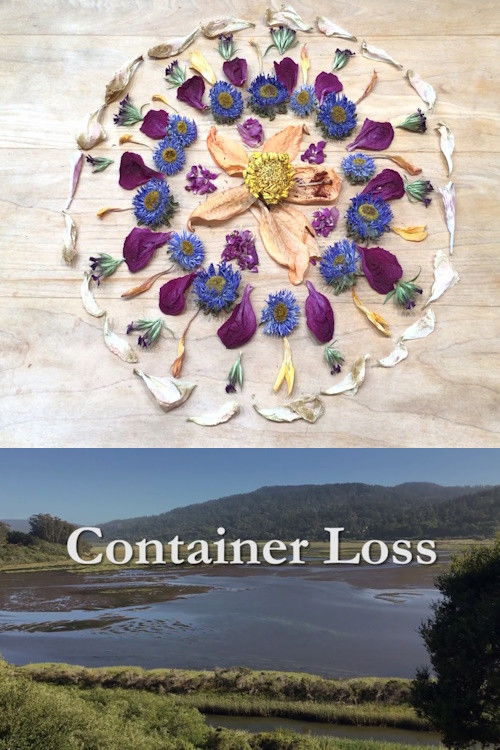 Container Loss (2022) poster