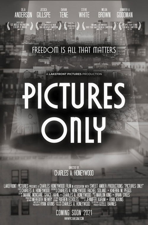 Pictures Only (2021) poster