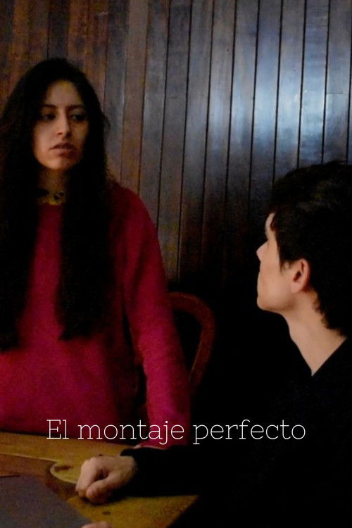 El montaje perfecto (2021) poster