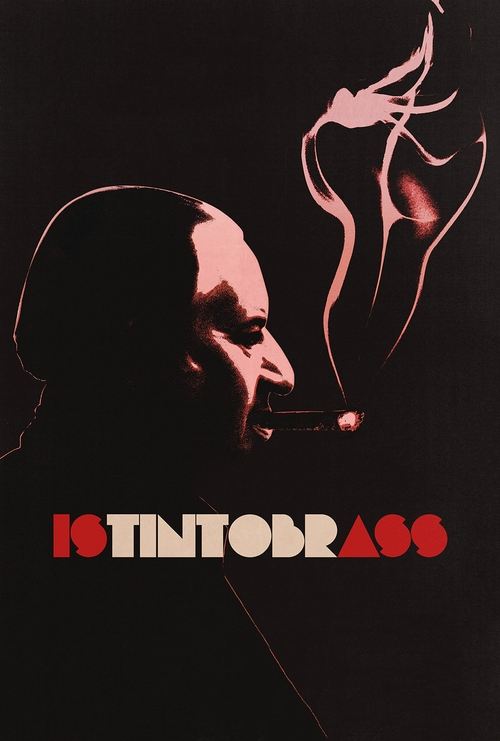 Istintobrass (2013) poster