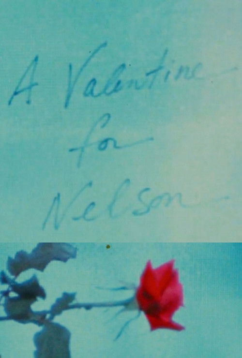 A Valentine for Nelson (1990) poster