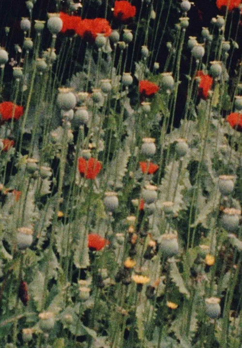 Place of Work (1976) poster