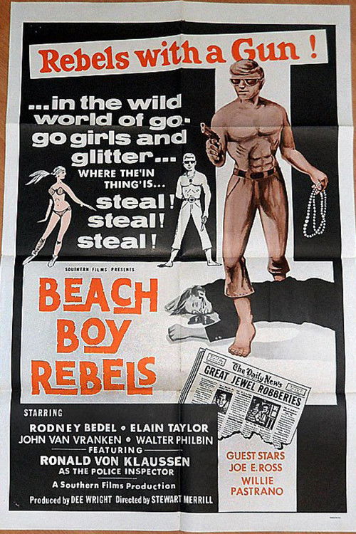 Beach Boy Rebels (1969) poster