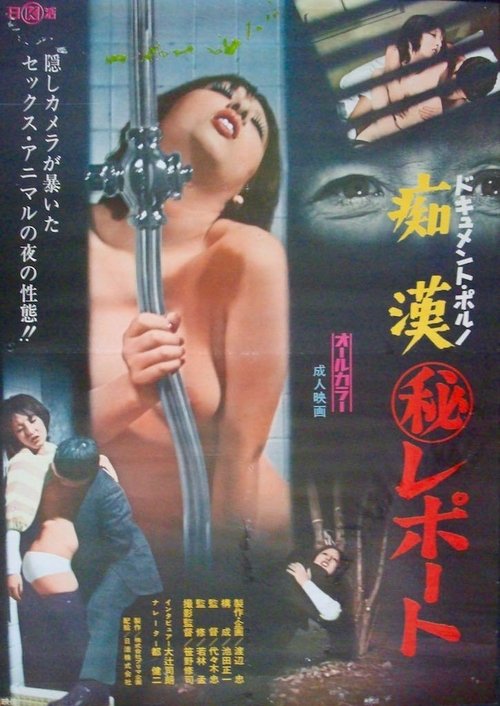 Document porno: Chikan maruhi report (1973) poster