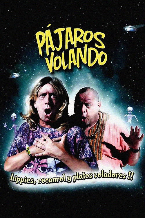 Pájaros volando (2010) poster