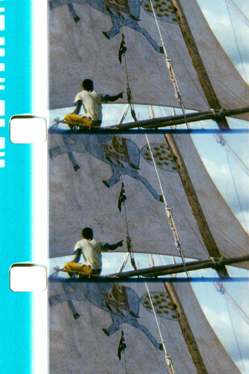 The Horse of the Prophet (2011) poster