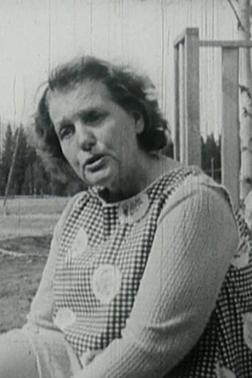 The Northlands Problem (1970) poster