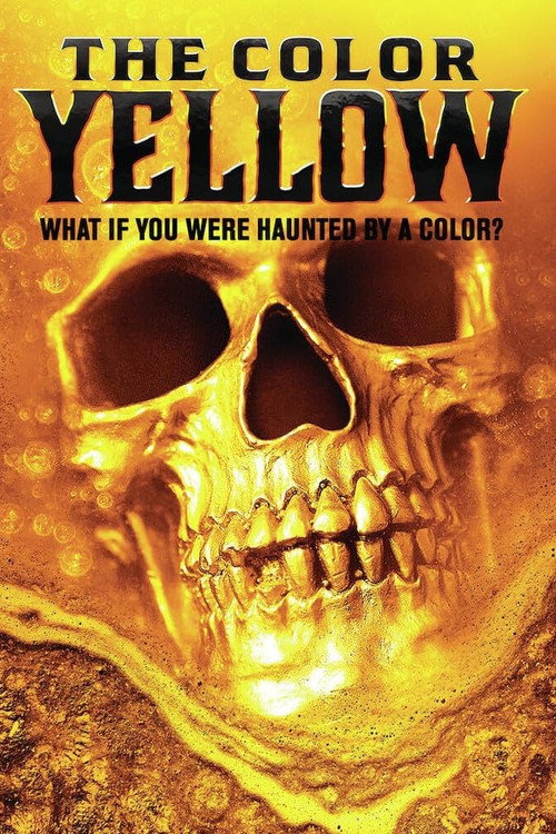 The Color of the Sun (2024) poster