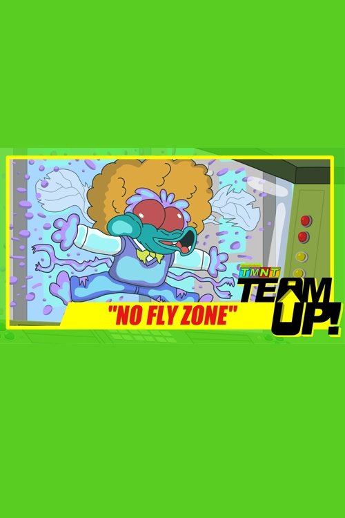 TMNT Team Up! - No Fly Zone (2017) poster