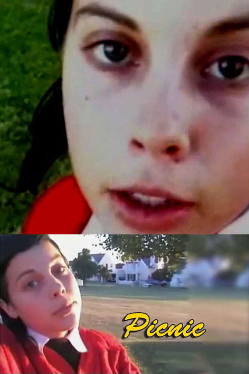 Picnic (2004) poster