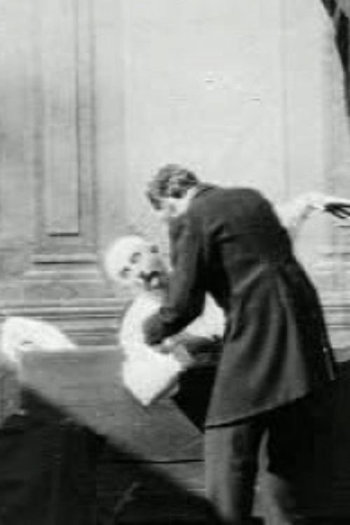 Doctor Knows What to Do (1899) poster
