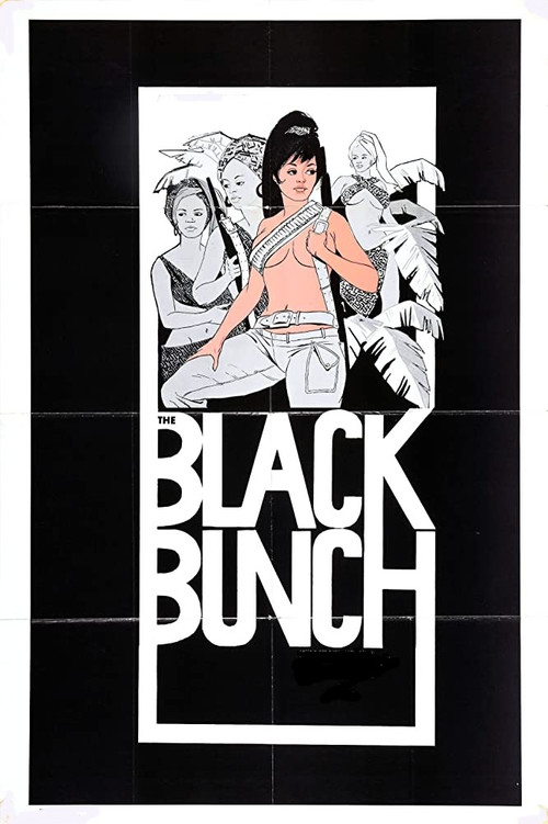 The Black Bunch (1973) poster