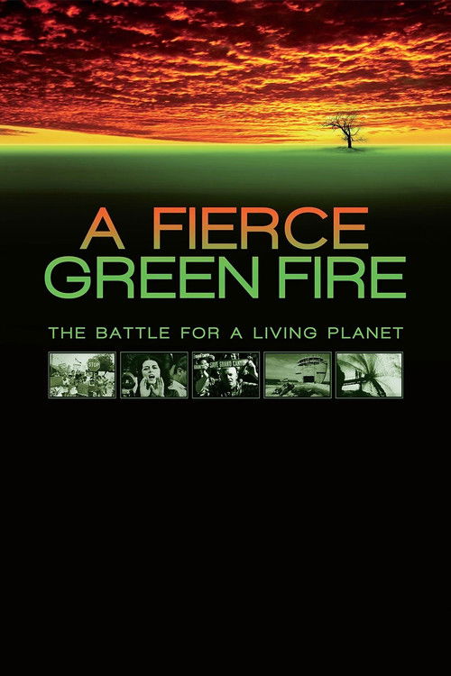 A Fierce Green Fire (2013) poster
