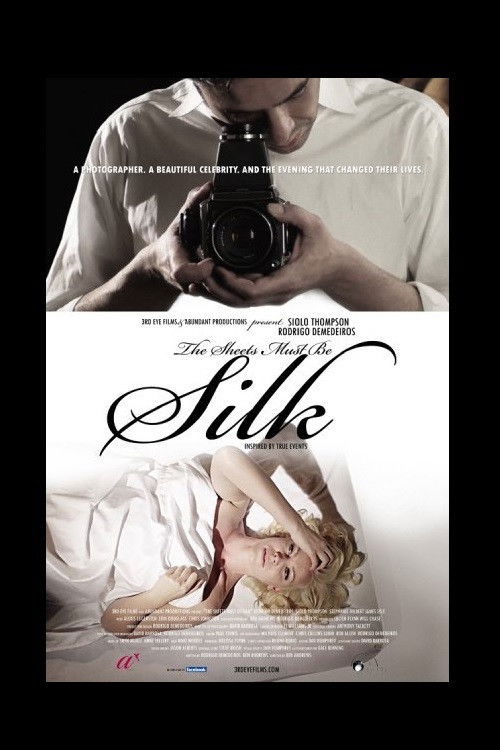 The Sheets Must Be Silk (2011) poster