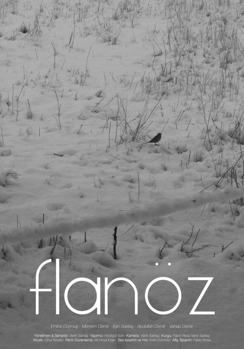 Flaneuse (2023) poster