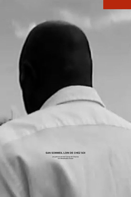 Sleepless far from home (2022) poster