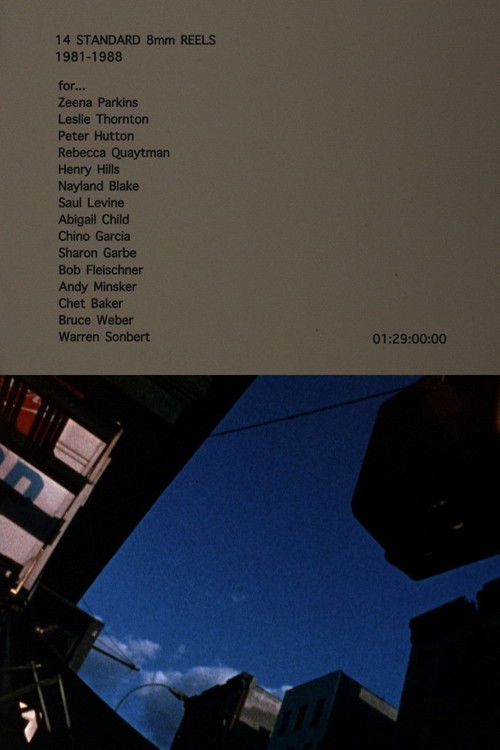 14 STANDARD 8mm REELS 1981–1988 (2018) poster