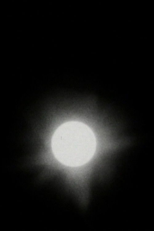 The Transit of Venus (2005) poster