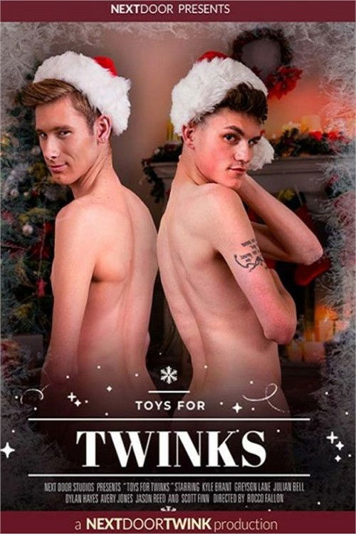 Toys For Twinks (2022) poster