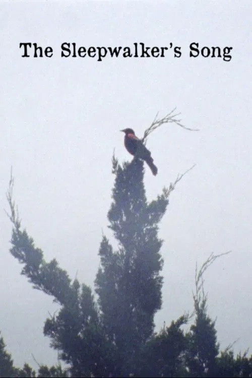 The Sleepwalker's Song poster