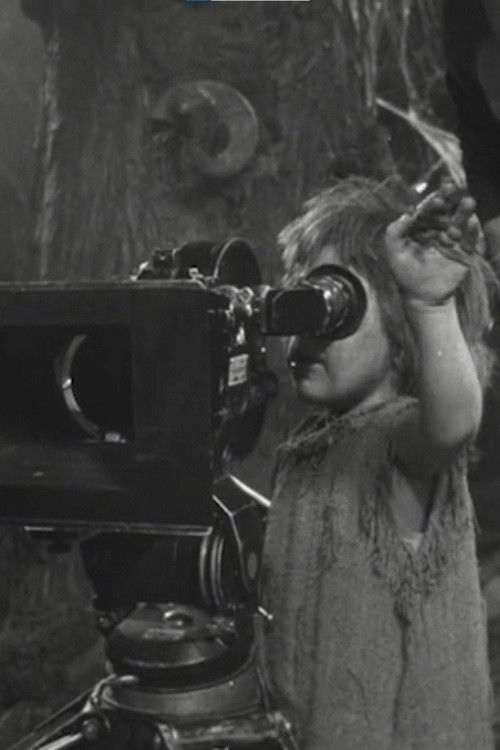 Episood (1980) poster