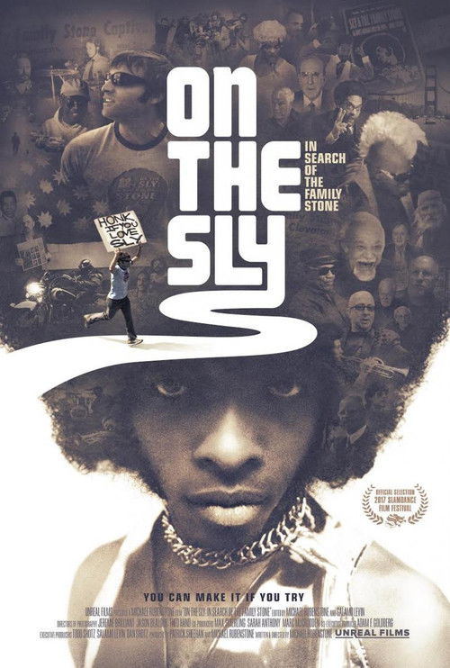 On the Sly: In Search of the Family Stone (2017) poster