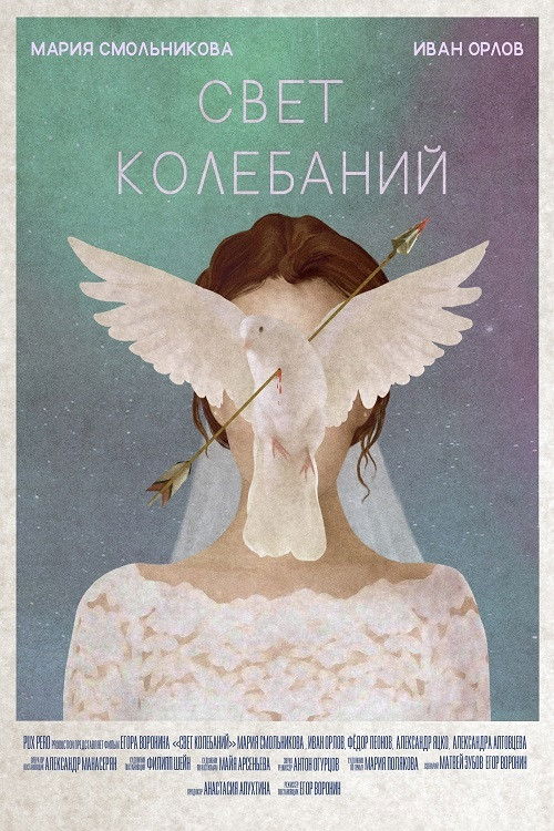 Light Fluctuations (2020) poster