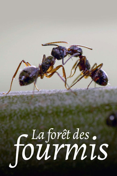 La Forêt des fourmis (2023) poster